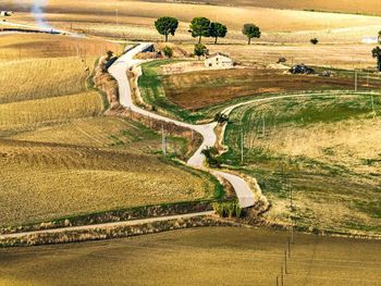 Scenic view of agricultural field