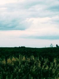 Scenic view of landscape against cloudy sky