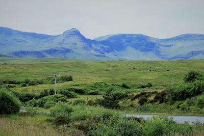 landscape