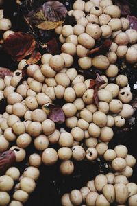 High angle view of eggs in market