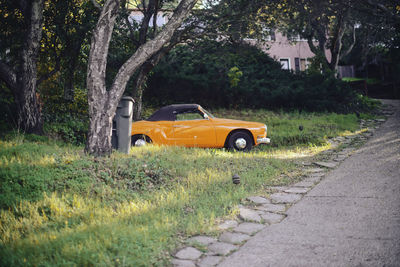 Car on road by trees in city