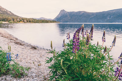 Scenic view of lake by mountain against sky