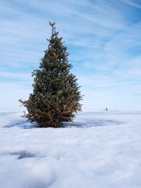 Tree on snow covered field against sky