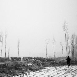 Bare trees on snow covered field