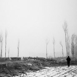 Bare trees on snow covered field