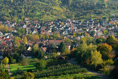 High angle view of trees and houses in field