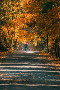 People walking on sidewalk during autumn