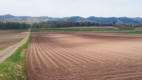 Scenic view of field against sky