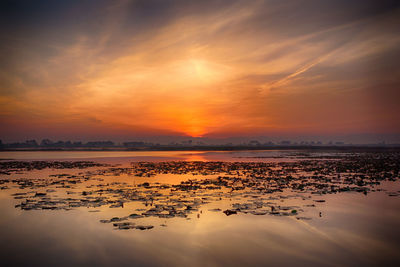 Scenic view of beach against sky during sunset