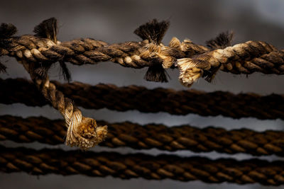 Close-up of old broken rope