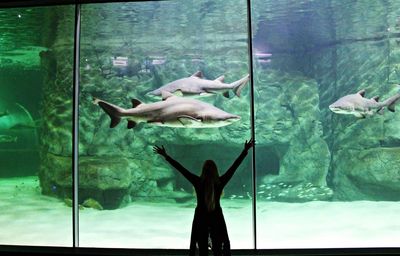 View of fish swimming in aquarium