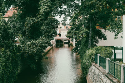 Bridge over canal amidst trees and buildings