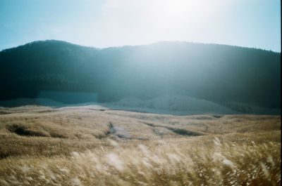 Scenic view of field and mountains against sky