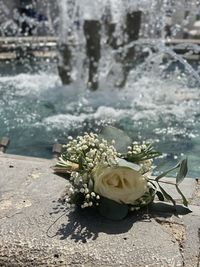 Close-up of rose bouquet