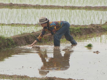 Woman planting rice plants in paddy