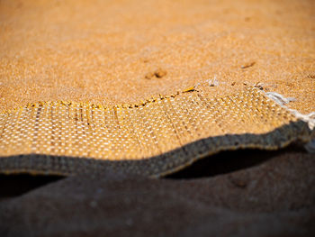 Close-up of wet sand