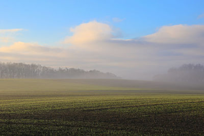 Scenic view of agricultural field against sky