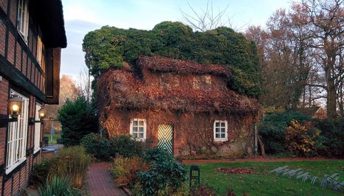 Houses with trees in background