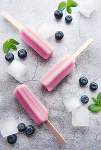 Ice cream popsicles from fresh organic blueberries. summer sweets and desserts. vegan food.