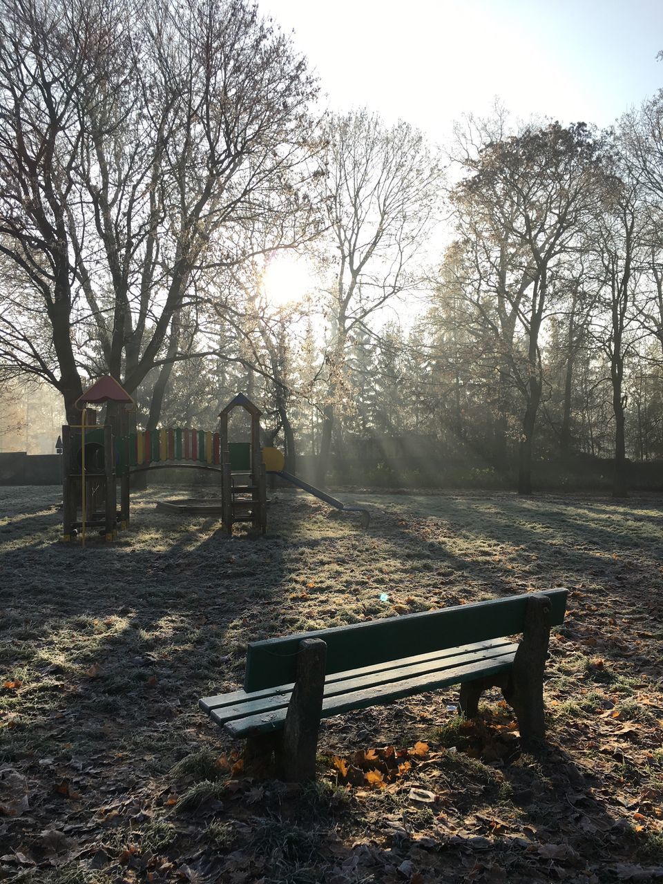 sunlight, railing, nature, tree, outdoors, no people, sunset, playground, tranquility, sky, beauty in nature, day, water