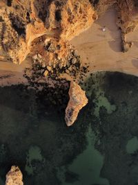 Rock formations in sea