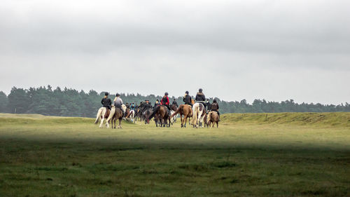 Rear view of people riding horses on landscape