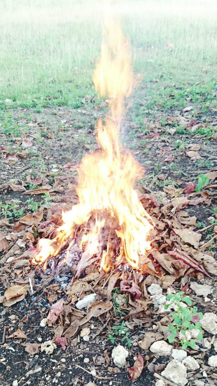 flame, burning, heat - temperature, fire - natural phenomenon, firewood, bonfire, fire, glowing, heat, motion, field, campfire, outdoors, high angle view, nature, grass, sunlight, sunbeam, no people, falling