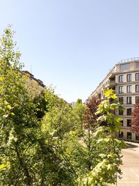 Low angle view of trees and buildings against sky
