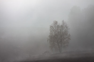 Bare trees on landscape against sky