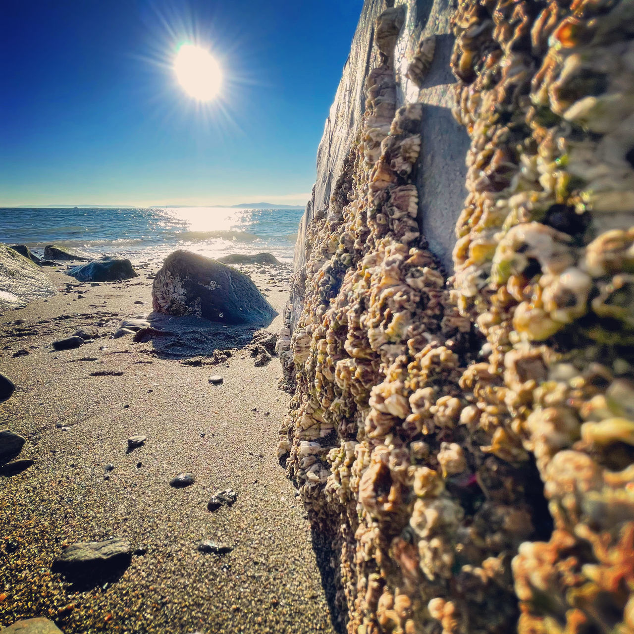 SCENIC VIEW OF ROCKS ON BEACH AGAINST SKY