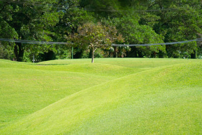 Scenic view of golf course