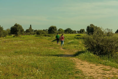 Rear view of people walking on land