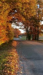 Road passing through autumn trees