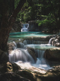 Scenic view of waterfall in forest