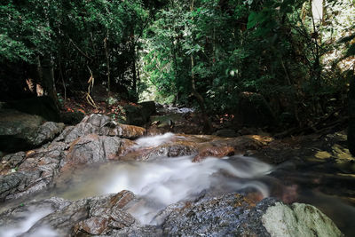 Stream flowing through rocks in forest