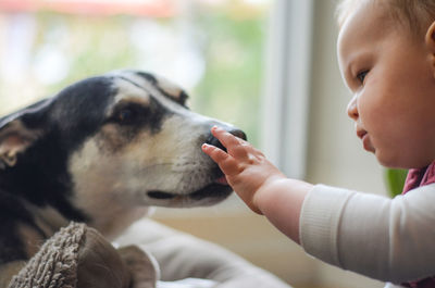 Close-up of young boy with dog