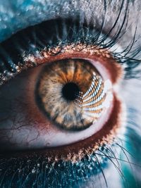 Macro shot of human eye