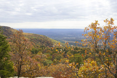 Scenic view of landscape against sky during autumn