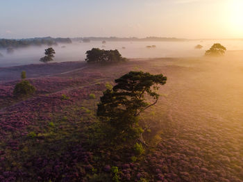 Scenic view of landscape against sky during sunset