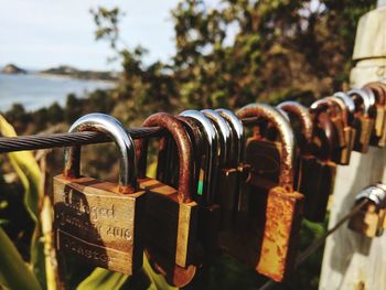 Close-up of padlocks on railing