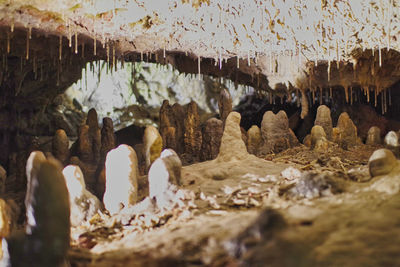 Close-up of rocks in cave