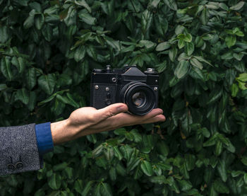 Cropped hand holding camera against plants