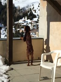 Full length of woman standing on chair during winter