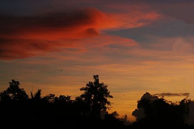 Low angle view of silhouette trees against orange sky