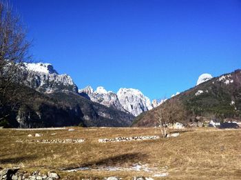 Scenic view of snowcapped mountains against clear blue sky