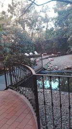 Swimming pool by trees against sky