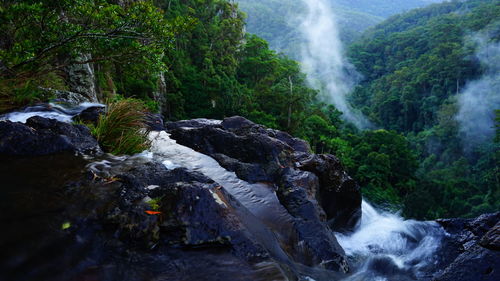 Purling brook falls during foggy weather