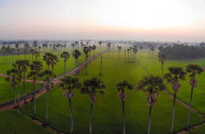 Scenic view of field against sky during sunset