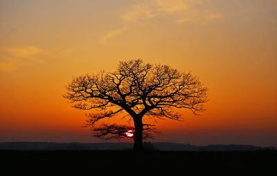 Silhouette bare oak tree on field against romantic sky at sunset