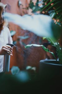 Woman spraying water on plants